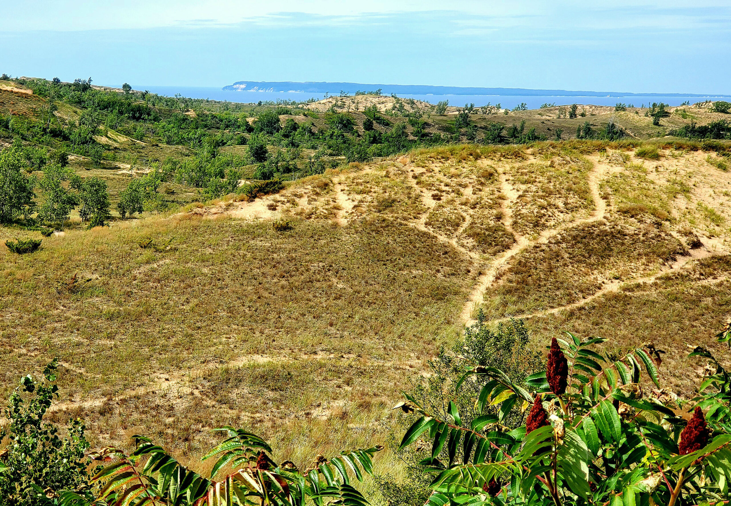 Lessons of the Wilderness