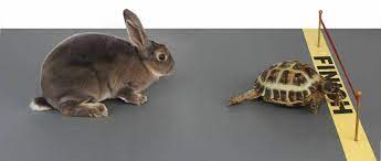 A Tortoise, a Hare, and a …Gazelle?