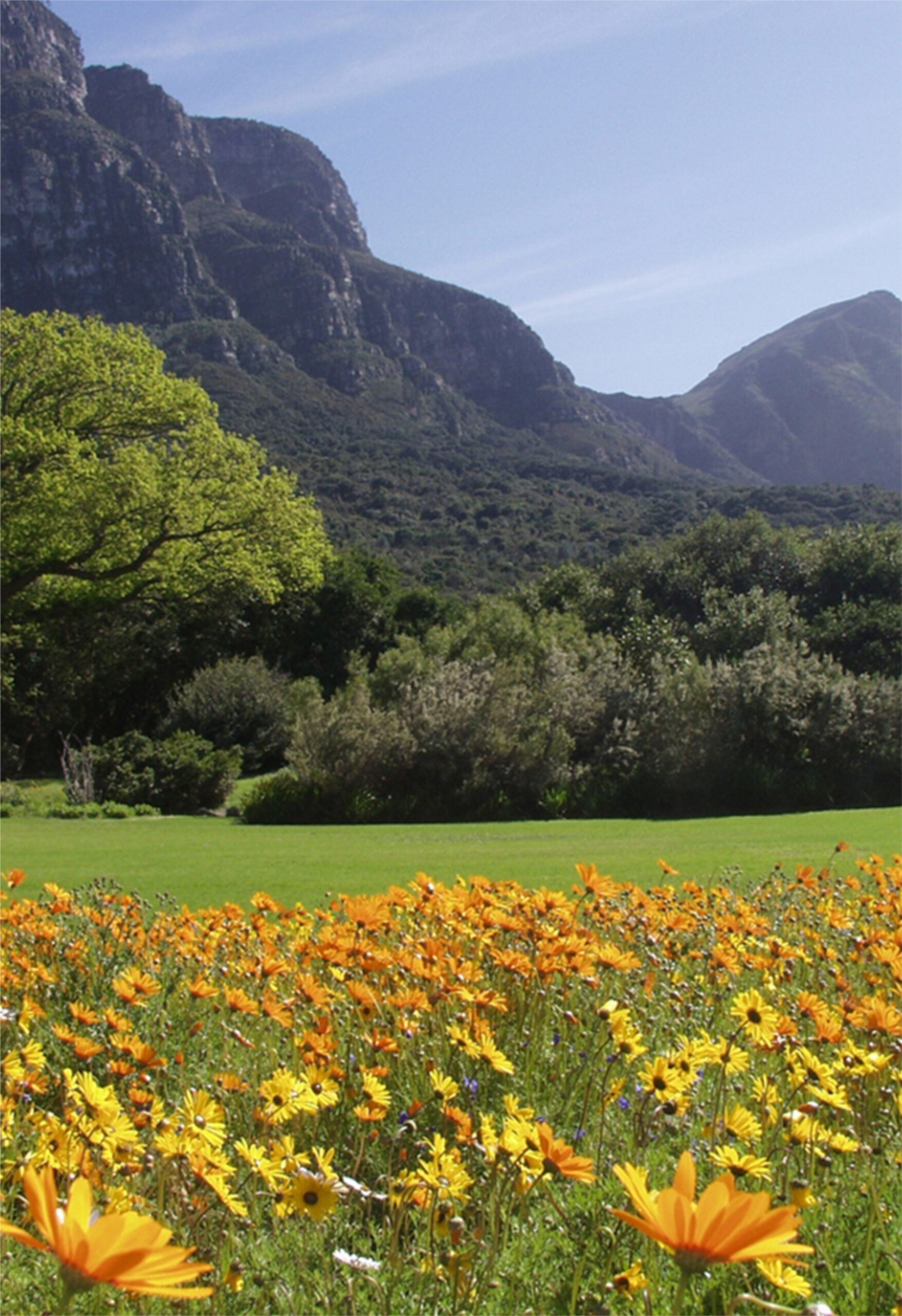 What Do You Remember?