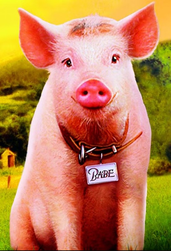 The Shepherd, the Lamb and the Sheep