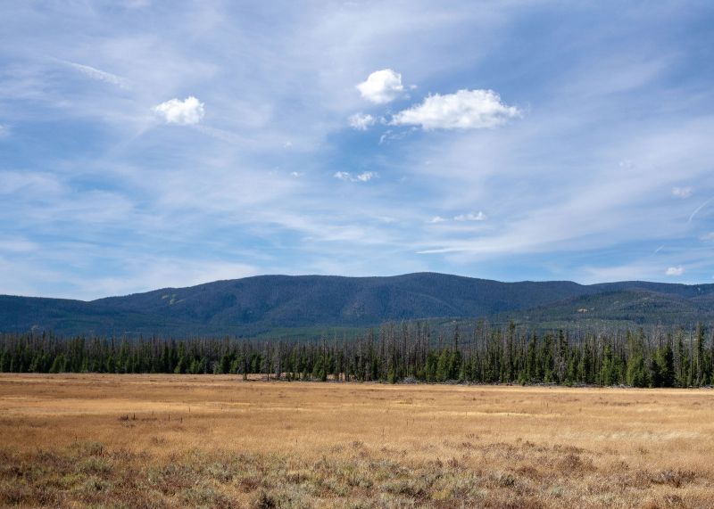 Risk the Wildest Places