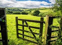 Jesus is the Good Shepherd